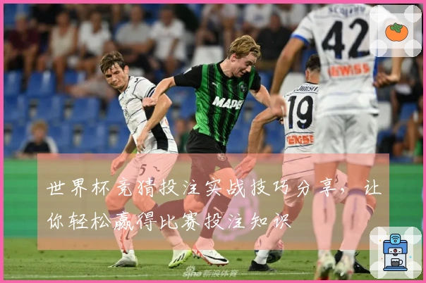 世界杯竞猜投注实战技巧分享，让你轻松赢得比赛投注知识
