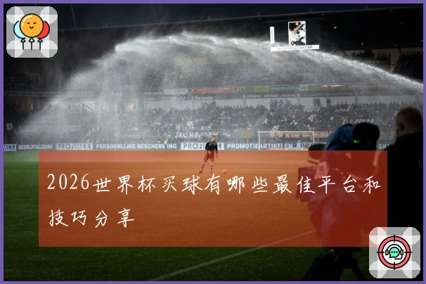 2026世界杯买球有哪些最佳平台和技巧分享