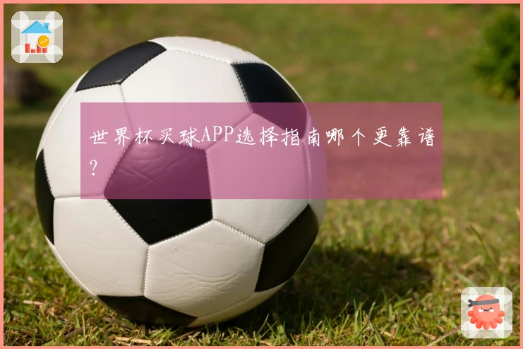 世界杯买球APP选择指南哪个更靠谱？