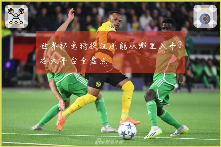 世界杯竞猜投注还能从哪里入手？各大平台全盘点