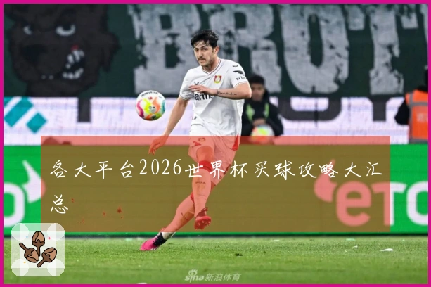 各大平台2026世界杯买球攻略大汇总